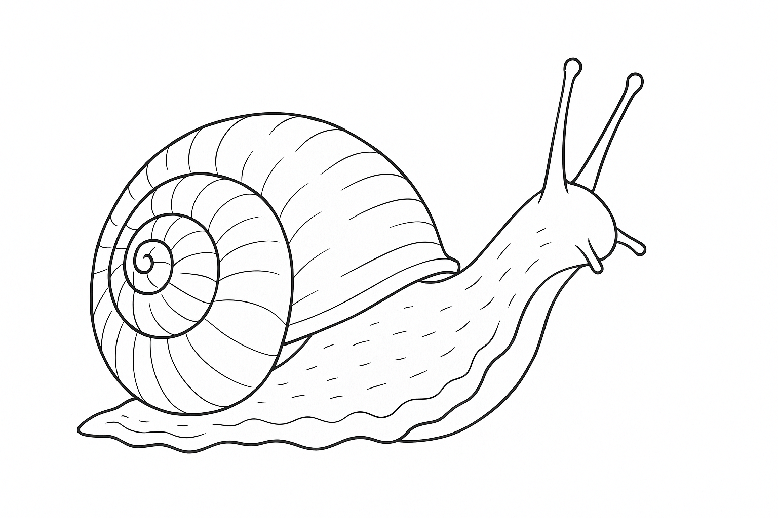 Página para colorear caracol: plantilla gratis para imprimir