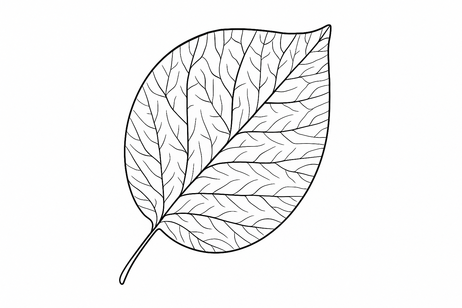 Página para Colorear Hoja – Plantilla gratuita para descargar