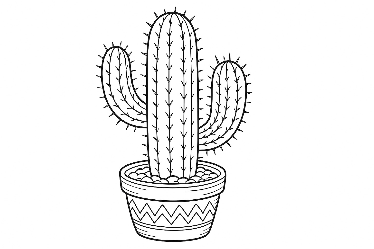 Planta del desierto cactus