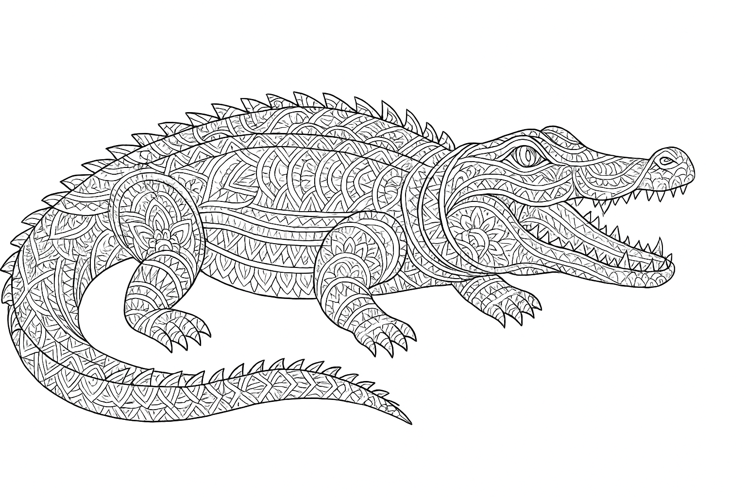 Cocodrilo como dibujo detallado para colorear