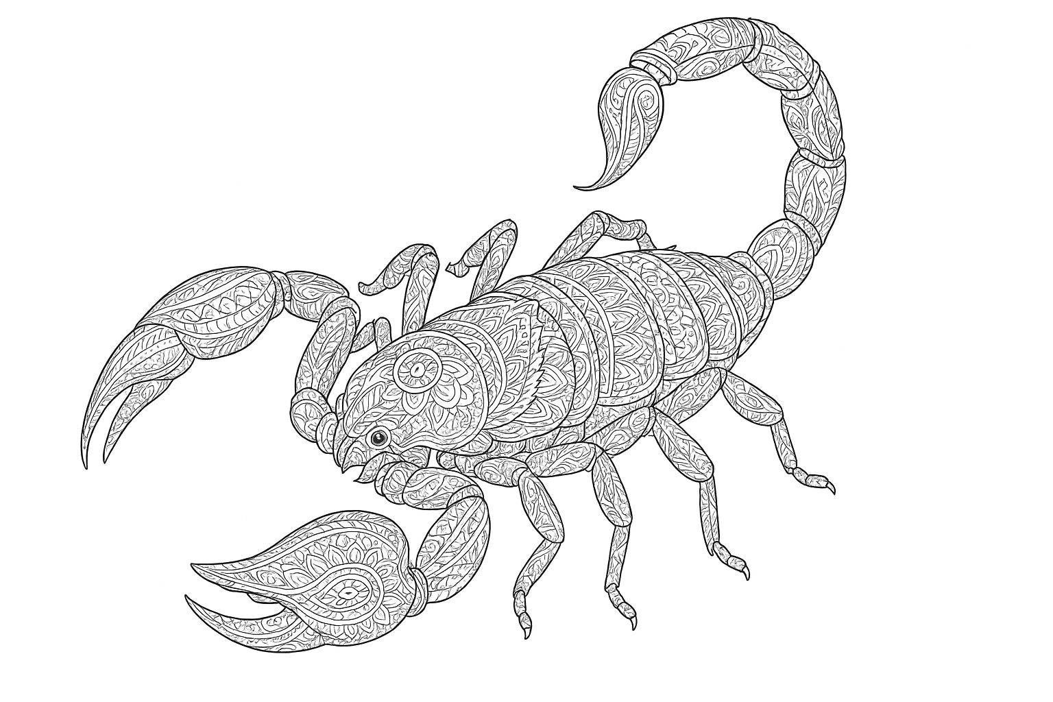 Dibujo detallado de escorpión para colorear