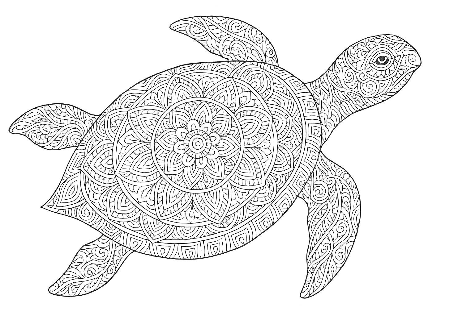 Tortuga con hermosos ornamentos