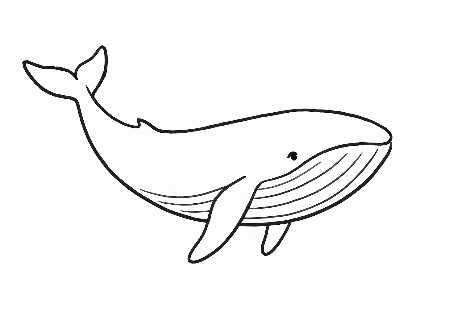 Coloriage baleine : modèle PDF gratuit à imprimer