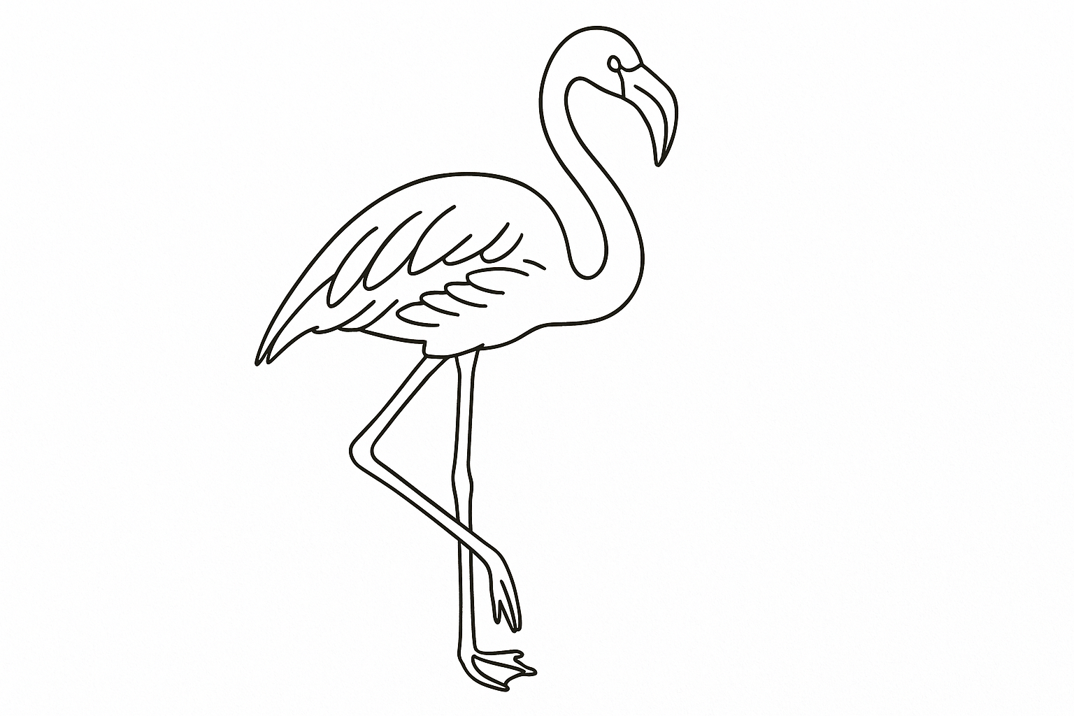 Coloriage flamant rose – joli à imprimer