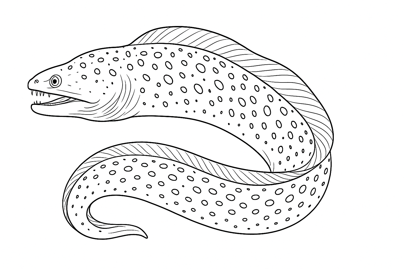 Murena Disegno da Colorare: Modello PDF Gratuito per Te
