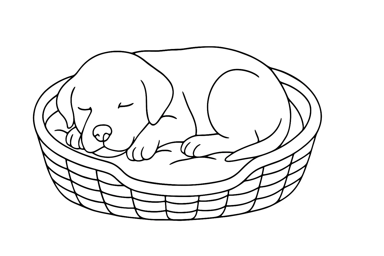 Süßer Hundewelpe im Körbchen