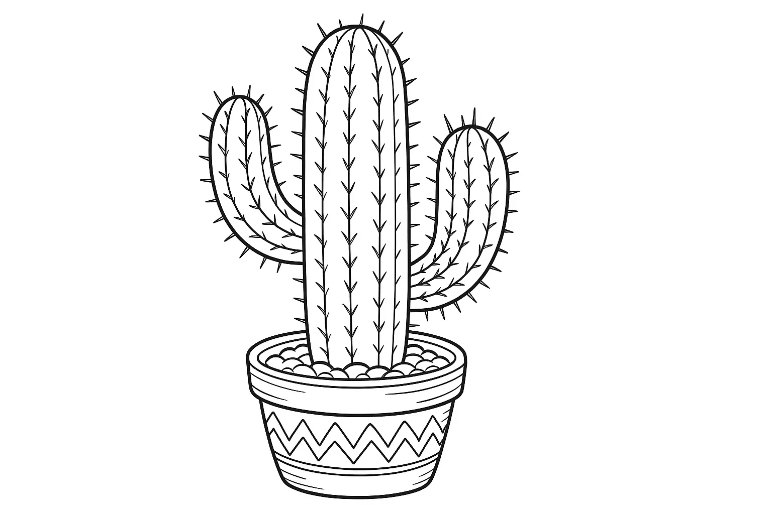 Plante du désert cactus