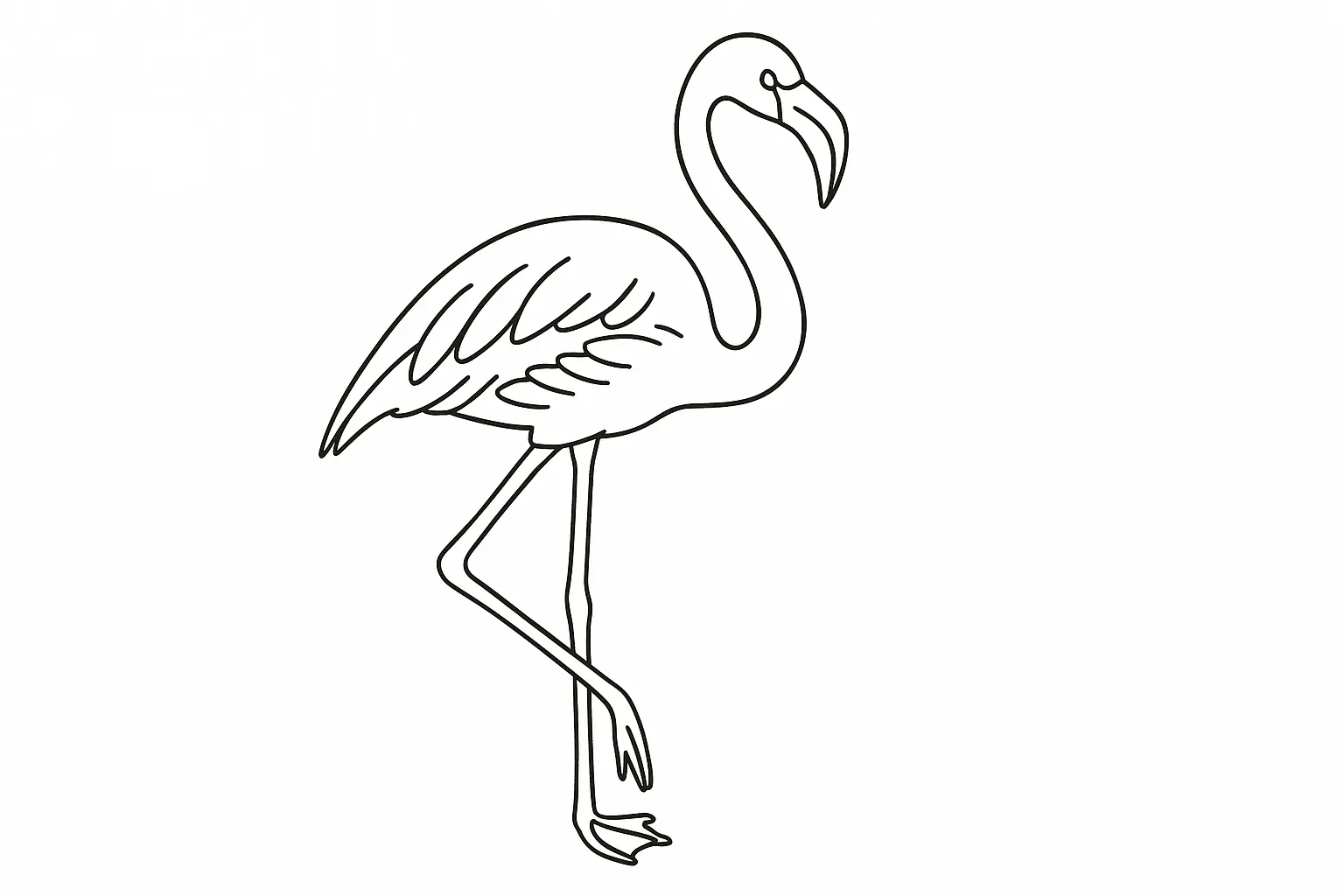 Flamingo Malvorlage – Schönes Ausmalbild zum Ausdrucken