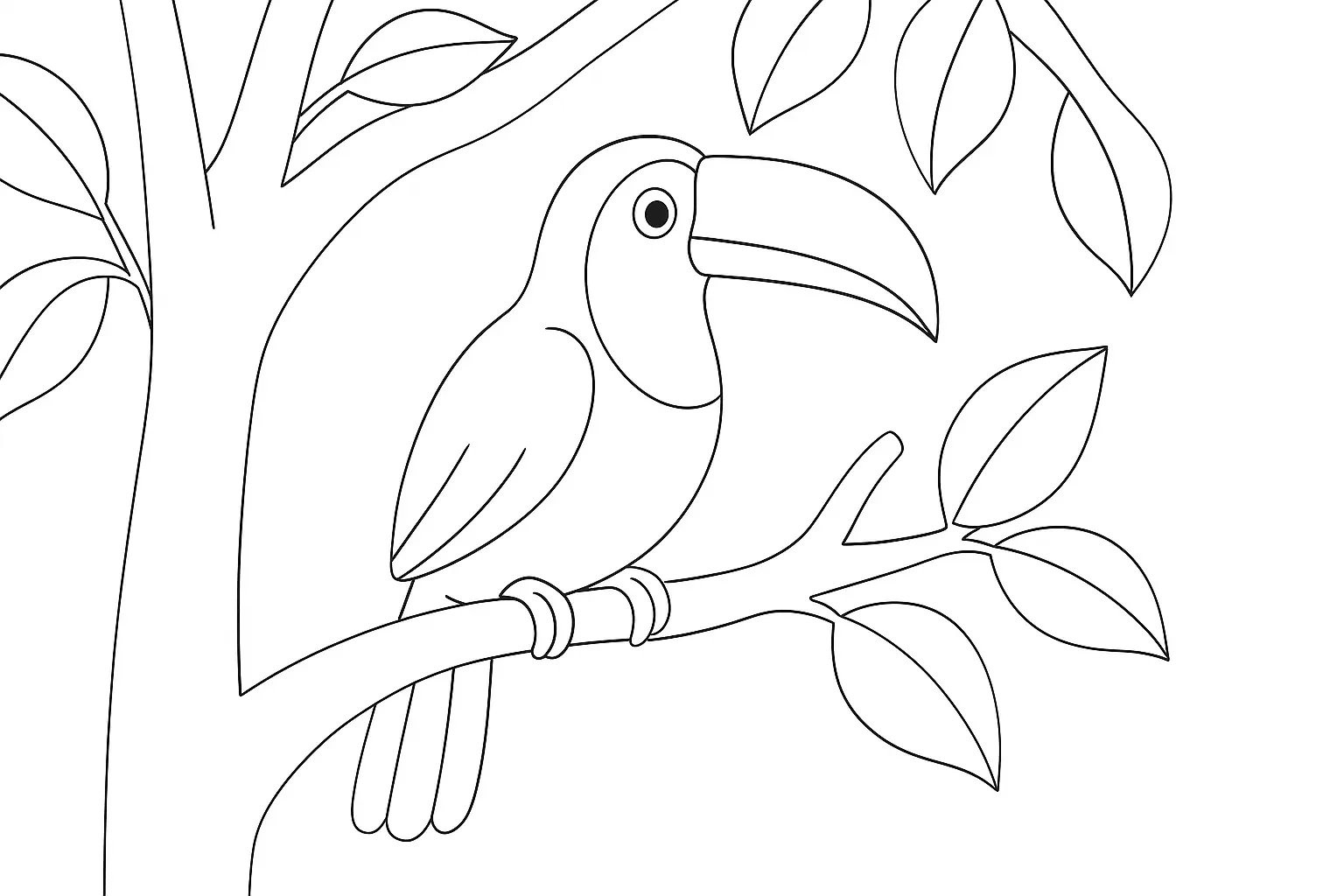 Tukan Ausmalbild: Malvorlage für Kinder kostenlos drucken