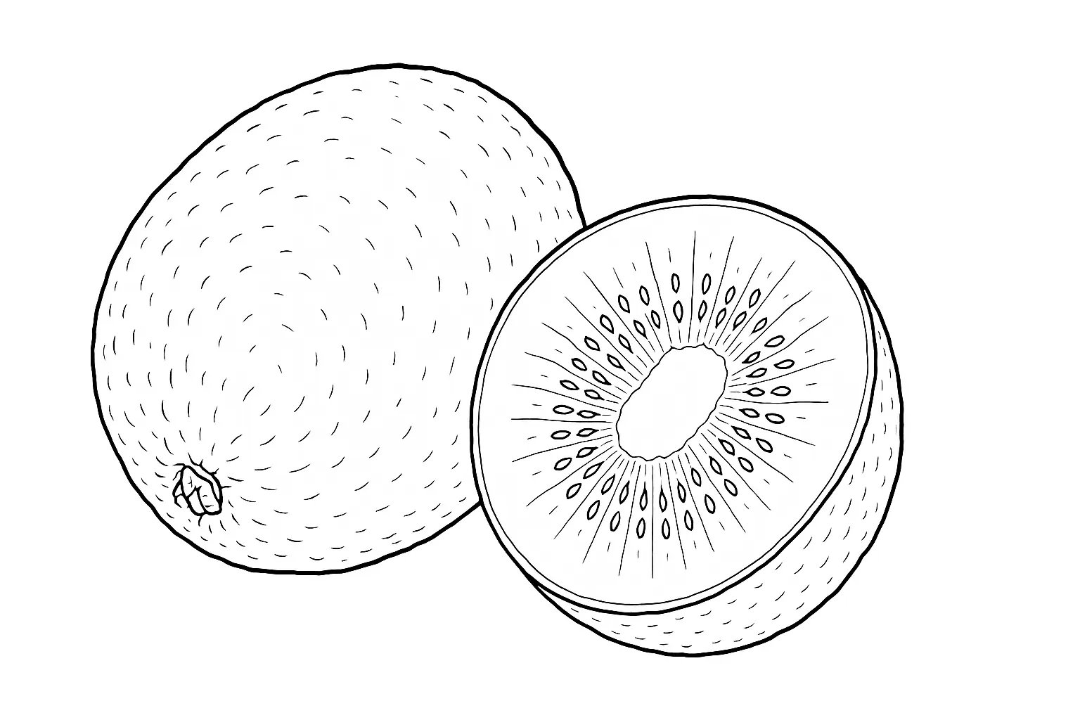 Ausmalvorlage mit Kiwi – Obst kreativ gestalten und ausmalen