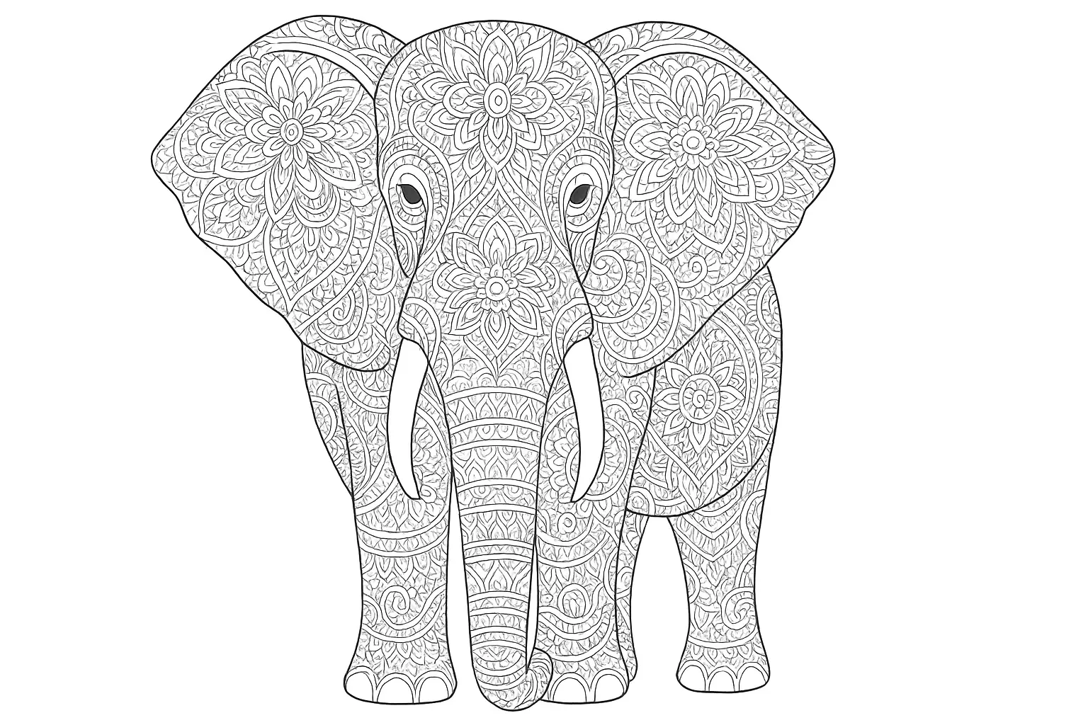 Elefant frontal mit feinen Ornamenten