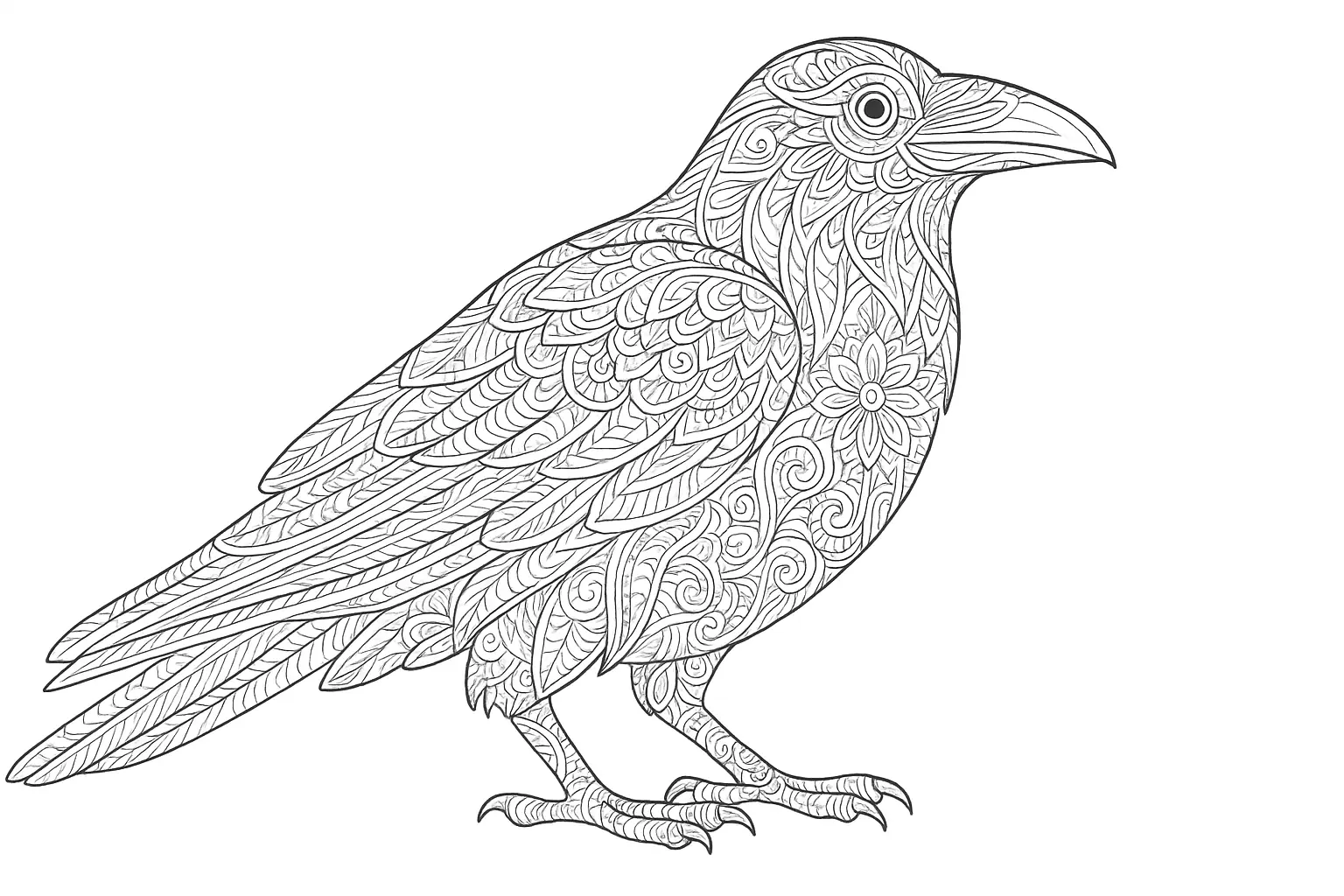 Rabe als detailreiches Ausmalbild